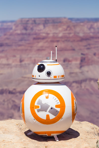 grand canyon wedding packages star wars elopement lipan point (7)