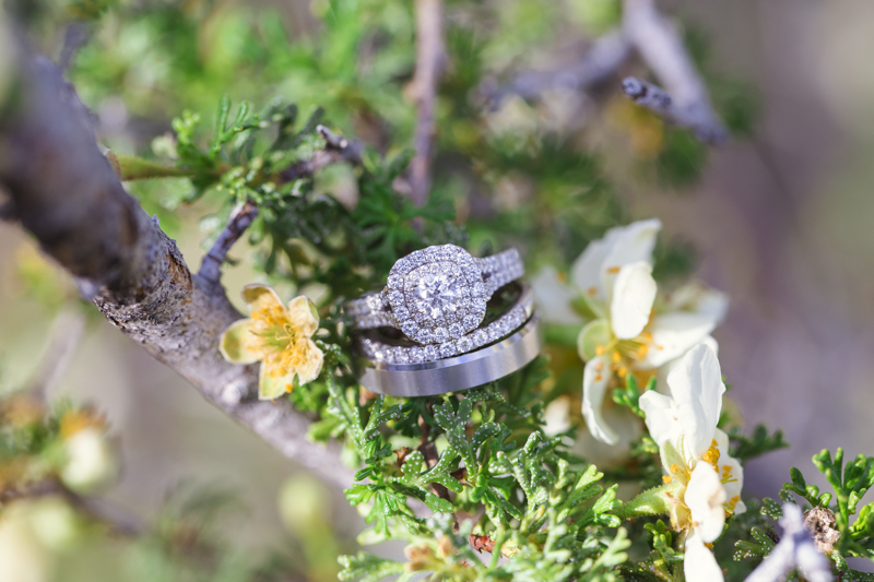 pretty please photography, flagstaff, sedona, grand canyon, page, arizona photographer, wedding photographer