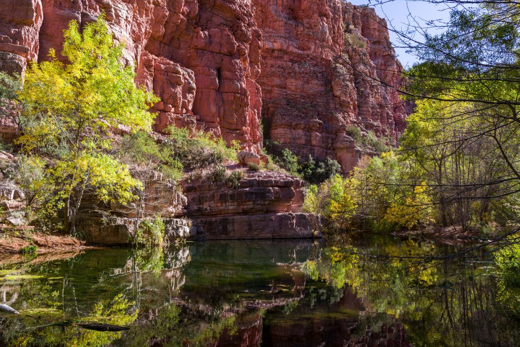 Sycamore Canyon