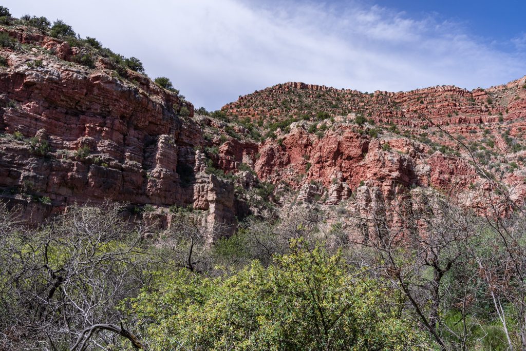 Sycamore Canyon
